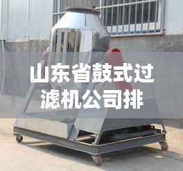 山东省鼓式过滤机公司排名揭晓，行业影响力不容小觑
