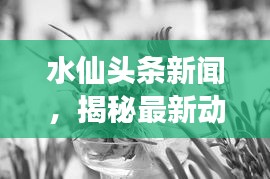 水仙头条新闻，揭秘最新动态与热点事件
