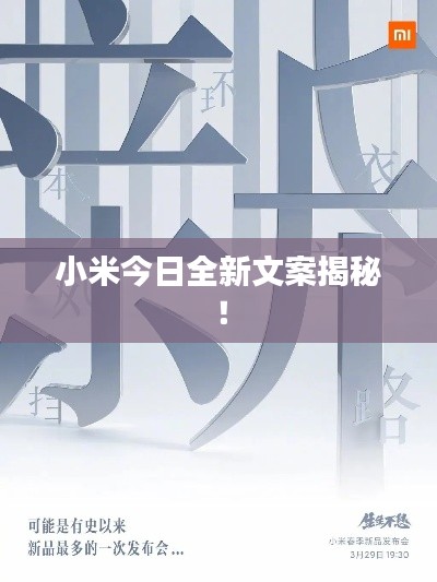 售后保障 第13页