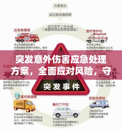 突发意外伤害应急处理方案，全面应对风险，守护安全防线