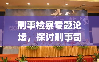 刑事检察专题论坛，探讨刑事司法体系的完善与发展