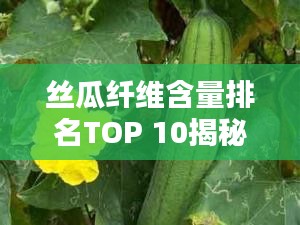 设计团队 第12页