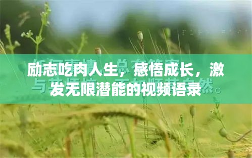 关于我们 第10页