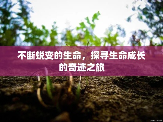 不断蜕变的生命，探寻生命成长的奇迹之旅