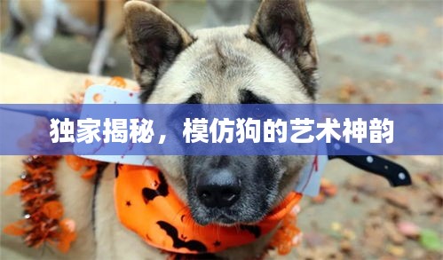 独家揭秘，模仿狗的艺术神韵