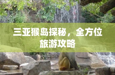 三亚猴岛探秘，全方位旅游攻略