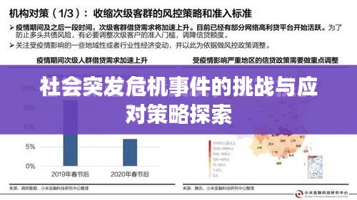社会突发危机事件的挑战与应对策略探索