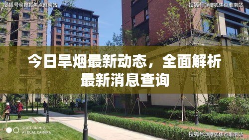 今日旱烟最新动态，全面解析最新消息查询