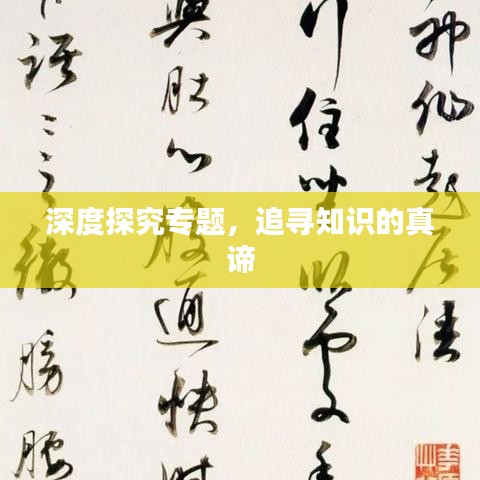 深度探究专题，追寻知识的真谛