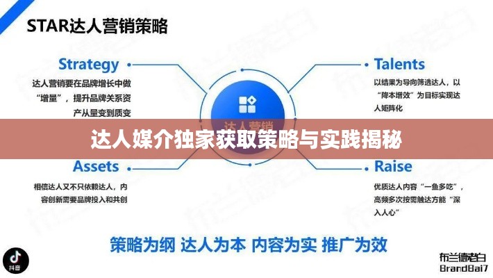 达人媒介独家获取策略与实践揭秘