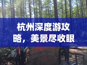 设计团队 第8页