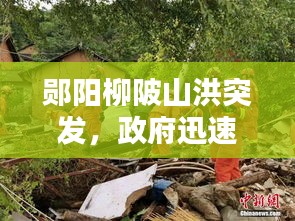 郧阳柳陂山洪突发，政府迅速响应保障民众安全