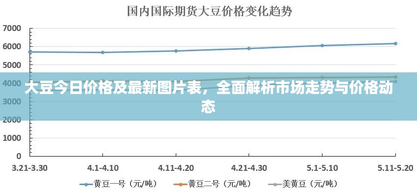 2025年4月 第6页