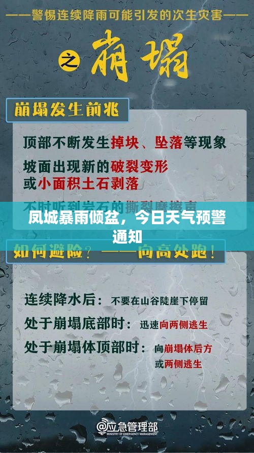 2025年4月 第4页