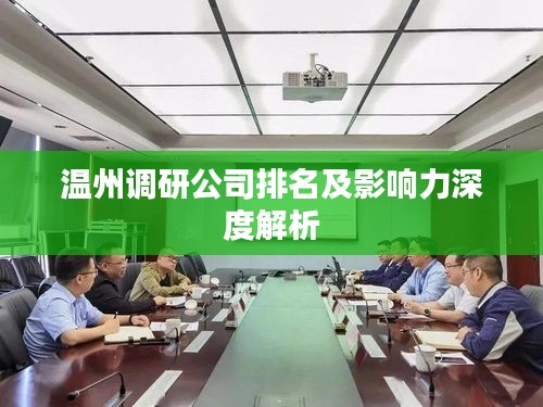温州调研公司排名及影响力深度解析