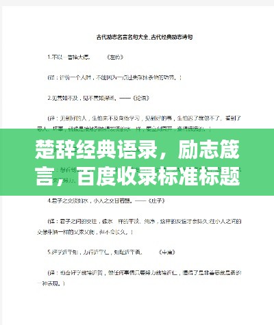 设计团队 第5页