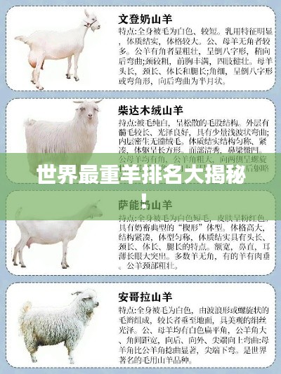 反正还淳