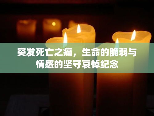 2025年5月13日