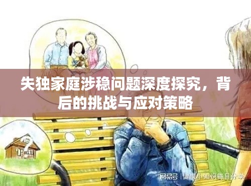 失独家庭涉稳问题深度探究，背后的挑战与应对策略