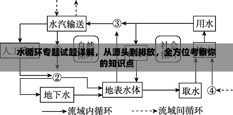 水循环专题试题详解，从源头到排放，全方位考察你的知识点