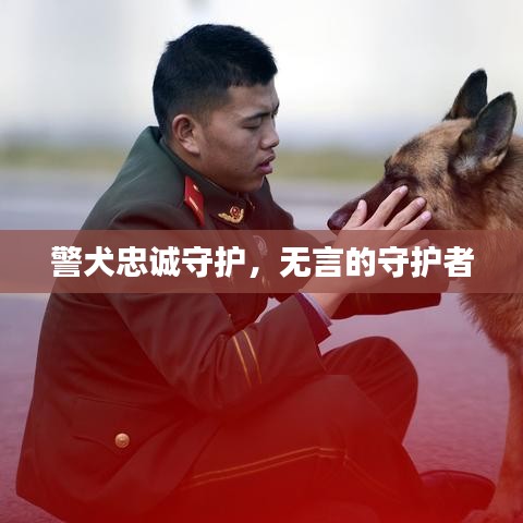 警犬忠诚守护，无言的守护者