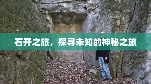 2025年6月5日