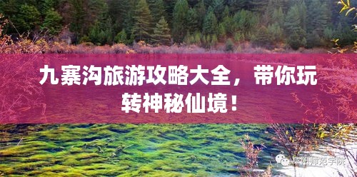 九寨沟旅游攻略大全，带你玩转神秘仙境！