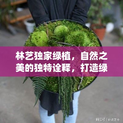 林艺独家绿植，自然之美的独特诠释，打造绿色生活空间