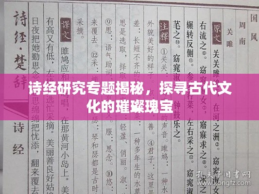 诗经研究专题揭秘，探寻古代文化的璀璨瑰宝