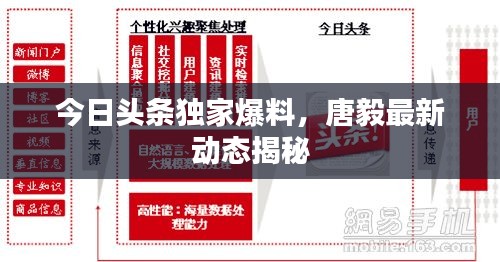 今日头条独家爆料，唐毅最新动态揭秘