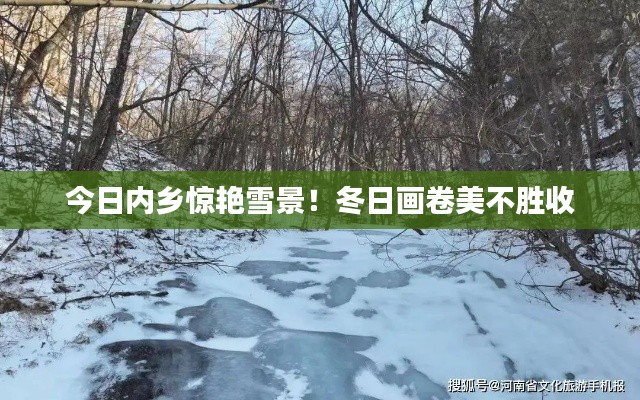 今日内乡惊艳雪景！冬日画卷美不胜收
