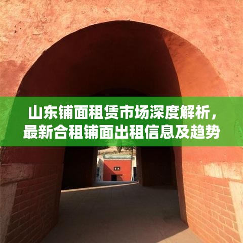 山东铺面租赁市场深度解析，最新合租铺面出租信息及趋势预测
